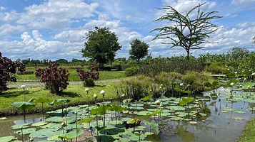 清迈查普林大象营