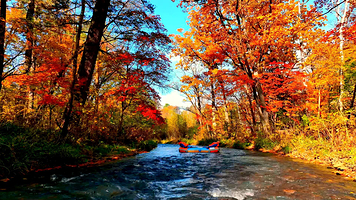 露水河国家森林公园
