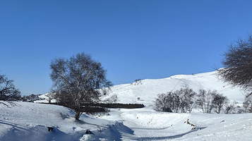 乌兰布统景区-塞北雪乡