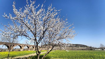 西山领地生态园