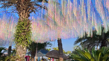 茅尾海国家海洋公园