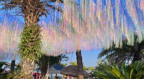 茅尾海国家海洋公园