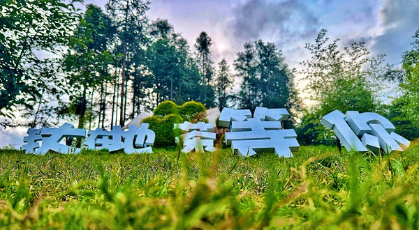 腾冲市大地茶海露营基地