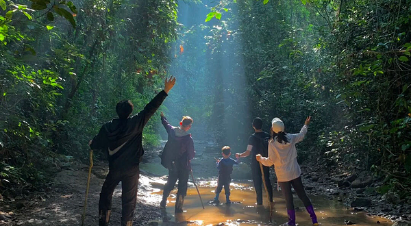 基诺山雨林徒步