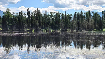 喀纳斯湖边观景台
