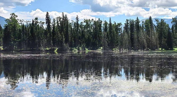 喀纳斯湖边观景台