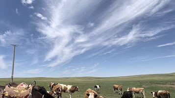 希拉穆仁草原深处