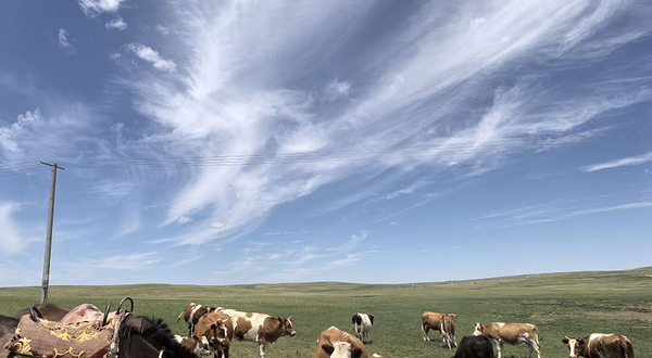 希拉穆仁草原深处