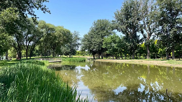 南苑森林湿地公园