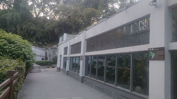 重庆动物园-豹猫