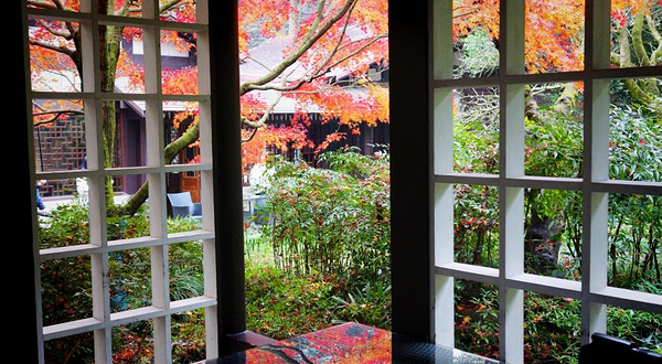 中国茶叶博物馆-双峰馆区