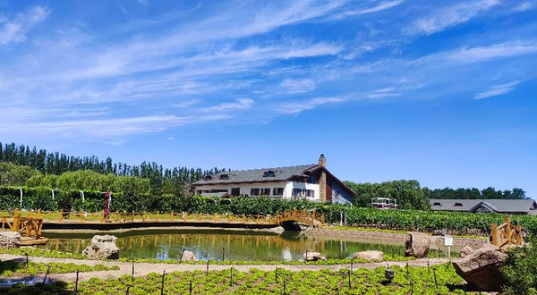 吉奥尼葡萄庄园