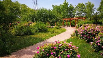 大兴世界月季主题园