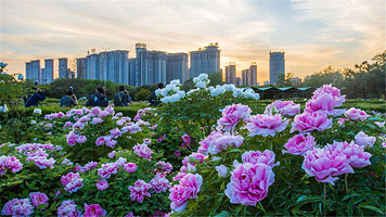 隋唐城遗址植物园