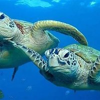南通海底世界