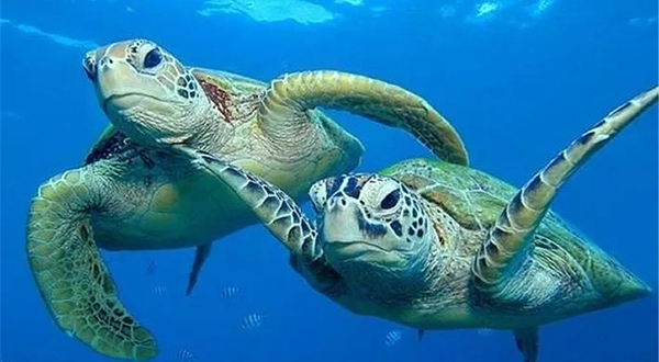 南通海底世界