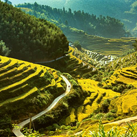 上堡梯田