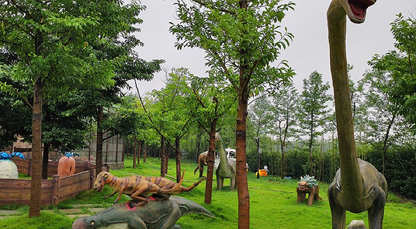 镜湖湿地动物王国