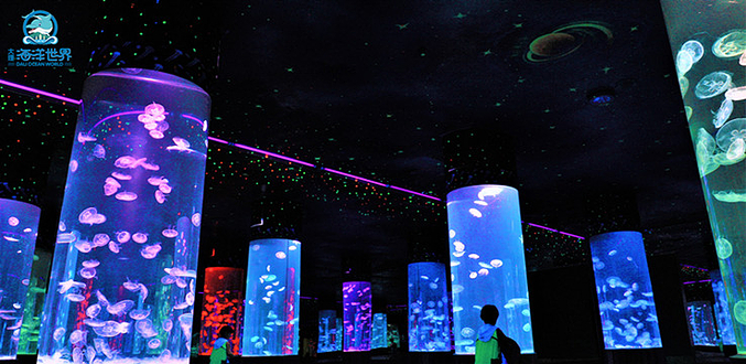 大理海洋世界