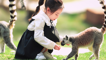 南通森林野生动物园