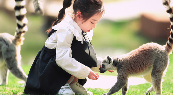 南通森林野生动物园