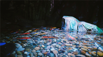 摸摸乐萌宠园(红星新华国际广场店)