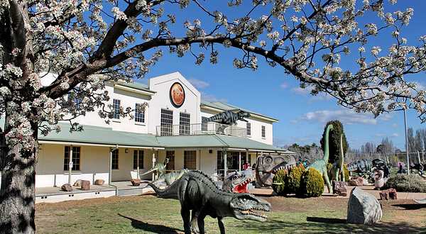 堪培拉国家恐龙博物馆