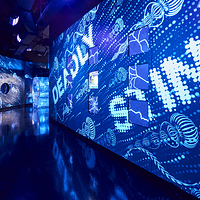 墨尔本水族馆