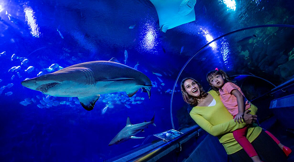 吉隆坡城中城水族馆