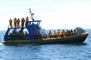 温哥华赏鲸公司