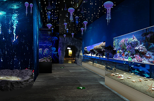 摸摸乐萌宠园(月星国际家居生活MALL店)