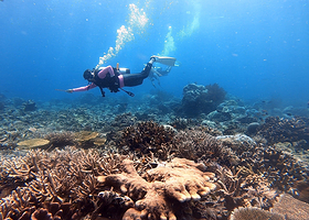 星潜社潜水俱乐部