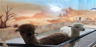 蔚蓝星海洋动物王国(宿州吾悦店)