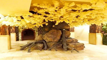 金水港汗蒸时代(翠园街店)