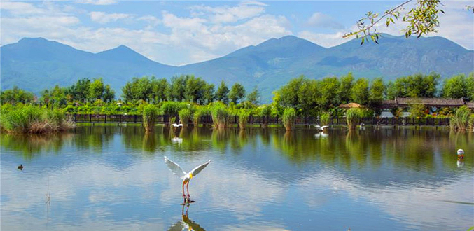 拉市海湿地公园