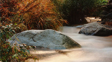云岫谷游猎自然风景区