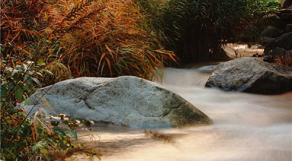 云岫谷游猎风景区