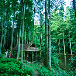 波尔登森林公园