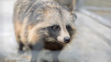 海州湾萌宠乐园