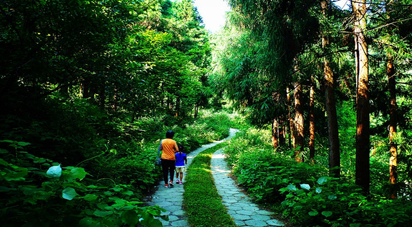薤山国家森林公园