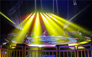 日照森林大马戏