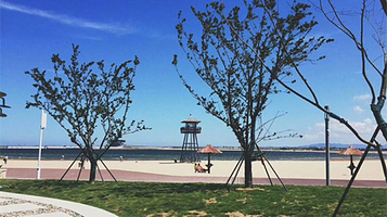 梅山湾沙滩公园