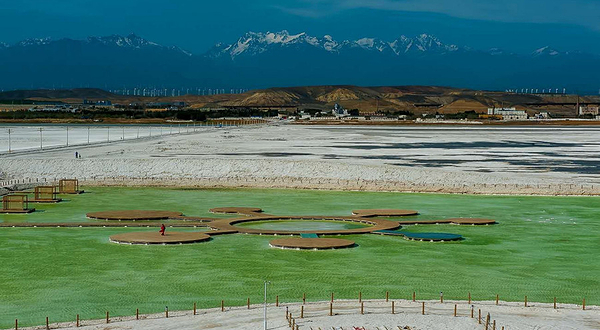 新疆盐湖景区