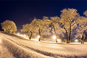 Yuzawa Maiko汤泽舞子滑雪场