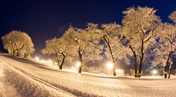 Yuzawa Maiko汤泽舞子滑雪场