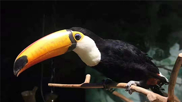 合肥漫乐城未来动物城(合肥漫乐城购物中心店)