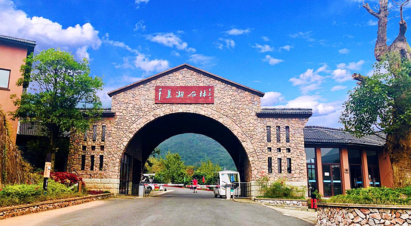千岛湖石林景区