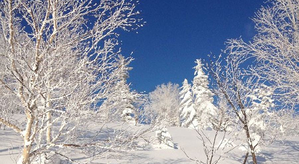 Moiwa二世古藻岩山滑雪场