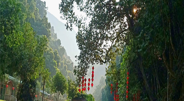安溪桫椤谷风景区