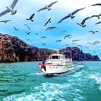 海驴岛